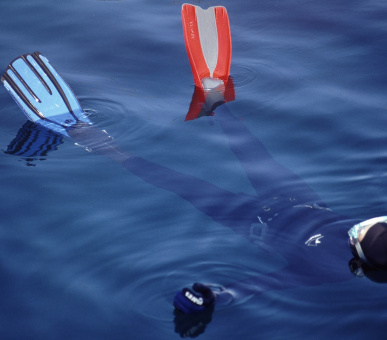 Фото Villa Skula (Хорватия, Остров Брач) 31