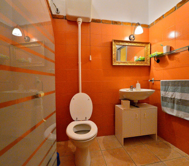 Фото Villa Skula (Хорватия, Остров Брач) 15