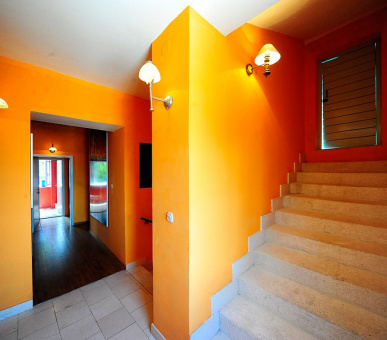 Фото Villa Skula (Хорватия, Остров Брач) 13