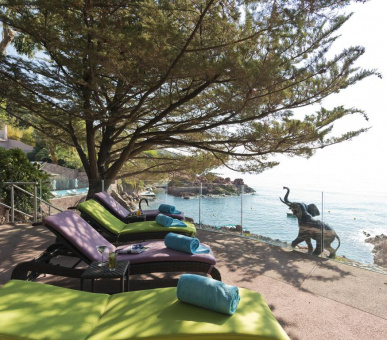 Картинка 13 Фото 13