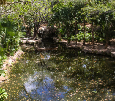 Фото Chable Resort 19