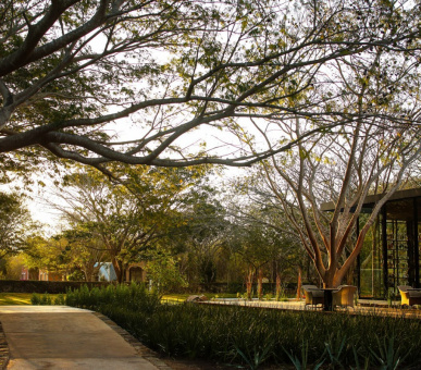 Фото Chable Resort 29