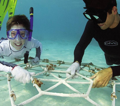 Картинка Four Seasons Resort Maldives At Landaa Giraavaru (, Мальдивские острова) 6 Фото Four Seasons Resort Maldives At Landaa Giraavaru (, Мальдивские острова) 6