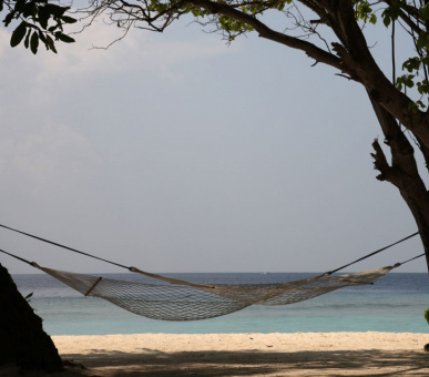 Фото Soneva Fushi (, Мальдивские острова) 25