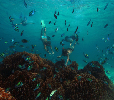 Фото Soneva Fushi (, Мальдивские острова) 37