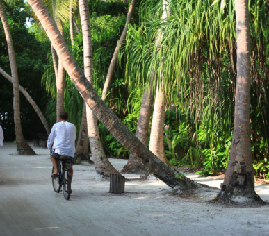 Фото Soneva Fushi (, Мальдивские острова) 14