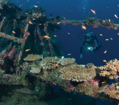 Картинка Круиз Four Seasons Explorer (, Мальдивские острова) 13 Фото Круиз Four Seasons Explorer (, Мальдивские острова) 13