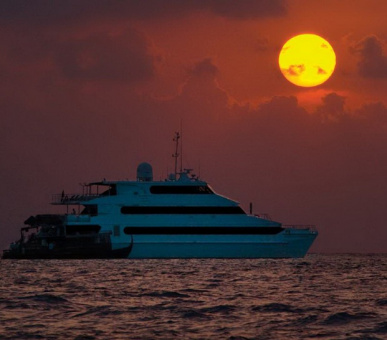 Картинка Круиз Four Seasons Explorer (, Мальдивские острова) 10 Фото Круиз Four Seasons Explorer (, Мальдивские острова) 10