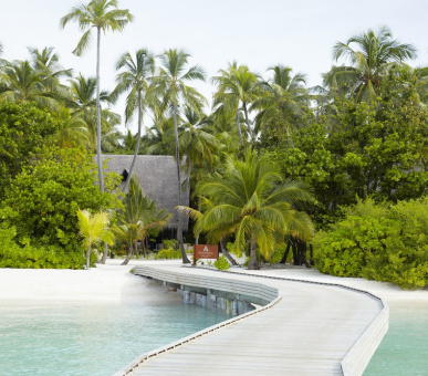 Картинка Anantara Kihavah Villas (, Мальдивские острова) 6 Фото Anantara Kihavah Villas (, Мальдивские острова) 6