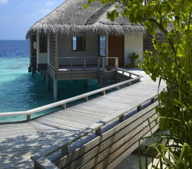 Картинка Dusit Thani Maldives (, Мальдивские острова) 21 Фото Dusit Thani Maldives (, Мальдивские острова) 21