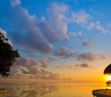 Картинка Dusit Thani Maldives (, Мальдивские острова) 50 Фото Dusit Thani Maldives (, Мальдивские острова) 50