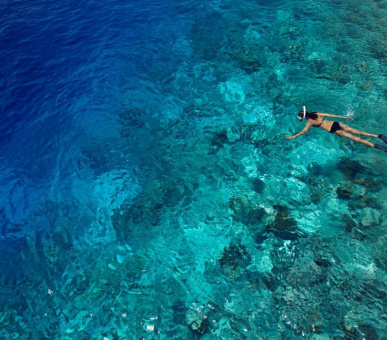 Картинка Dusit Thani Maldives (, Мальдивские острова) 46 Фото Dusit Thani Maldives (, Мальдивские острова) 46