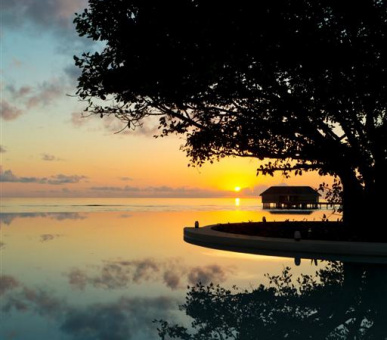 Картинка Dusit Thani Maldives (, Мальдивские острова) 40 Фото Dusit Thani Maldives (, Мальдивские острова) 40