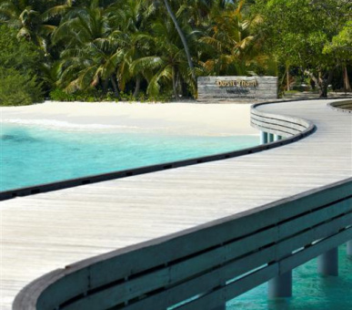 Картинка Dusit Thani Maldives (, Мальдивские острова) 42 Фото Dusit Thani Maldives (, Мальдивские острова) 42