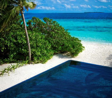 Картинка Dusit Thani Maldives (, Мальдивские острова) 29 Фото Dusit Thani Maldives (, Мальдивские острова) 29