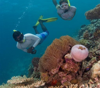 Картинка Dusit Thani Maldives (, Мальдивские острова) 48 Фото Dusit Thani Maldives (, Мальдивские острова) 48