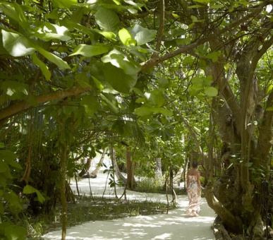Картинка Dusit Thani Maldives (, Мальдивские острова) 22 Фото Dusit Thani Maldives (, Мальдивские острова) 22