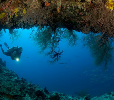Картинка Dusit Thani Maldives (, Мальдивские острова) 49 Фото Dusit Thani Maldives (, Мальдивские острова) 49