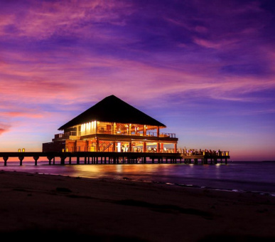 Картинка Dusit Thani Maldives (, Мальдивские острова) 5 Фото Dusit Thani Maldives (, Мальдивские острова) 5