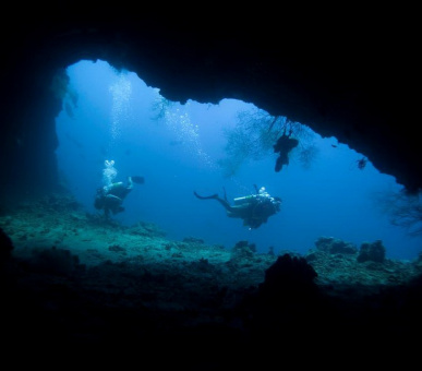 Картинка Dusit Thani Maldives (, Мальдивские острова) 47 Фото Dusit Thani Maldives (, Мальдивские острова) 47