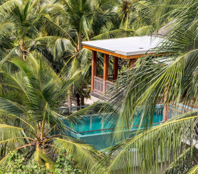 Картинка Amilla Fushi Resort (, Мальдивские острова) 38 Фото Amilla Fushi Resort (, Мальдивские острова) 38