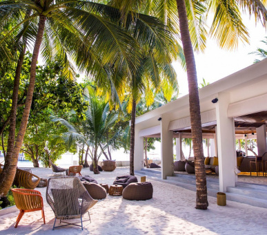 Картинка Amilla Fushi Resort (, Мальдивские острова) 3 Фото Amilla Fushi Resort (, Мальдивские острова) 3
