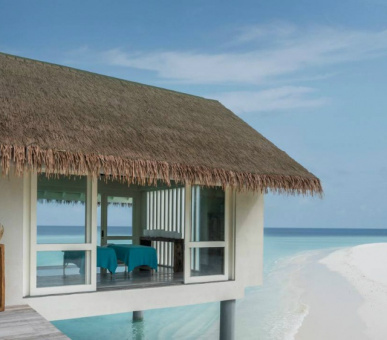 Картинка 20 Фото 20