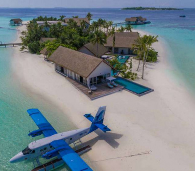 Картинка 21 Фото 21