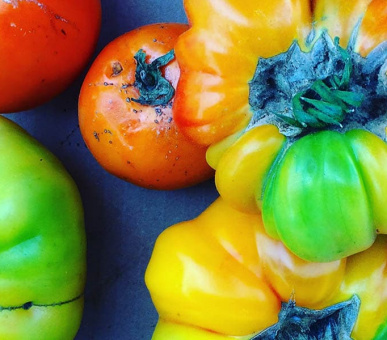 Картинка Vakkaru Maldives 30 Фото Vakkaru Maldives 30