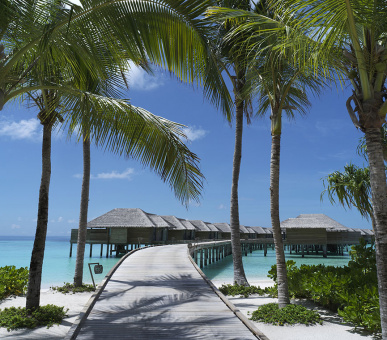 Картинка Vakkaru Maldives 43 Фото Vakkaru Maldives 43