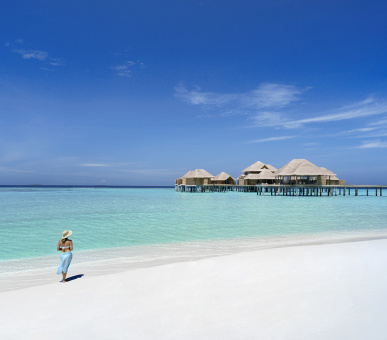 Картинка Vakkaru Maldives 49 Фото Vakkaru Maldives 49