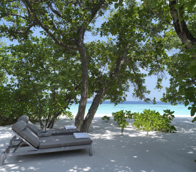 Картинка Vakkaru Maldives 12 Фото Vakkaru Maldives 12