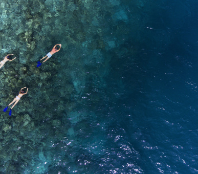 Картинка Vakkaru Maldives 48 Фото Vakkaru Maldives 48