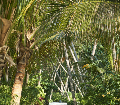 Фото LUX* North Male Atoll 72