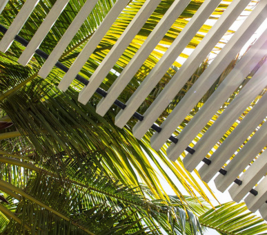 Картинка Cheval Blanc Randheli Maldives (, Мальдивские острова) 25 Фото Cheval Blanc Randheli Maldives (, Мальдивские острова) 25