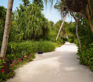 Фото Velaa Private Island (, Мальдивские острова) 22