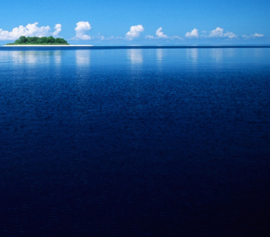 Фото Velaa Private Island (, Мальдивские острова) 57