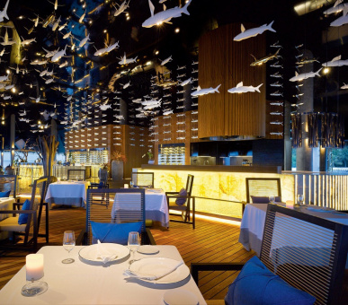 Фото Velaa Private Island (, Мальдивские острова) 52