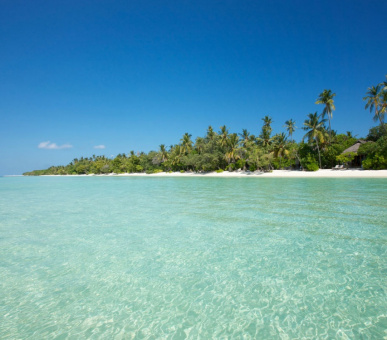 Фото LUX* Maldives 31