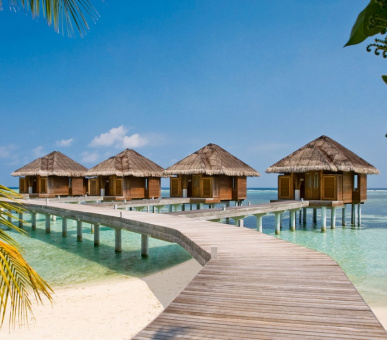 Фото LUX* Maldives 28