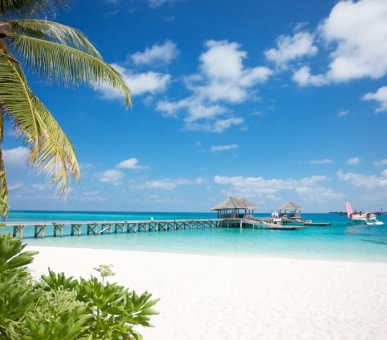 Фото LUX* Maldives 35