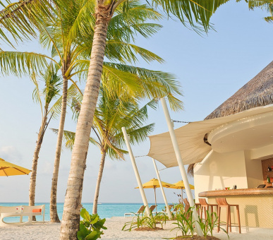 Картинка Niyama (, Мальдивские острова) 20 Фото Niyama (, Мальдивские острова) 20