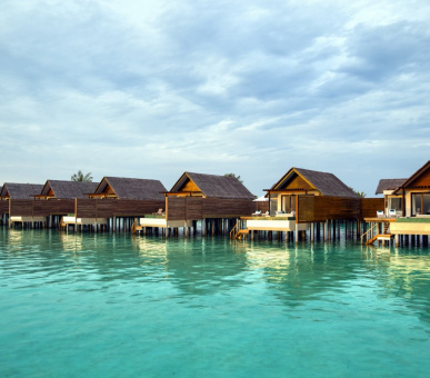 Картинка Niyama (, Мальдивские острова) 22 Фото Niyama (, Мальдивские острова) 22