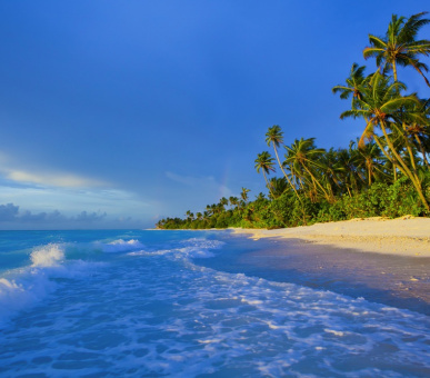 Картинка Niyama (, Мальдивские острова) 17 Фото Niyama (, Мальдивские острова) 17