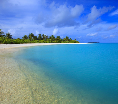 Картинка Niyama (, Мальдивские острова) 16 Фото Niyama (, Мальдивские острова) 16