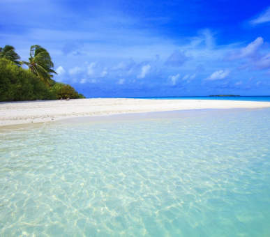 Картинка Niyama (, Мальдивские острова) 15 Фото Niyama (, Мальдивские острова) 15