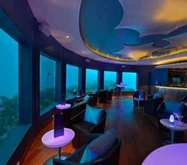 Картинка Niyama (, Мальдивские острова) 37 Фото Niyama (, Мальдивские острова) 37