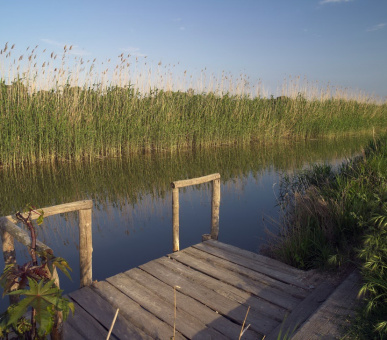 Картинка The Westin Valencia (Испания, Валенсия) 36 Фото The Westin Valencia (Испания, Валенсия) 36
