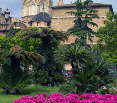 Картинка The Westin Valencia (Испания, Валенсия) 33 Фото The Westin Valencia (Испания, Валенсия) 33