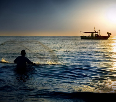 Картинка The Westin Valencia (Испания, Валенсия) 16 Фото The Westin Valencia (Испания, Валенсия) 16